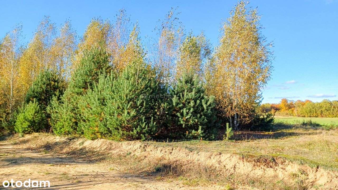 Działka budowlana 2000 m2 w Lutówku - na sprzedaż.-7