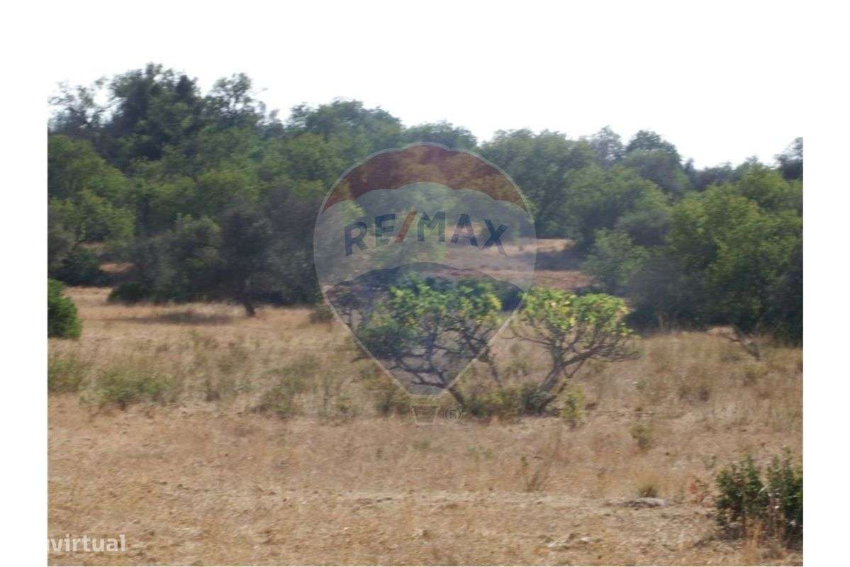 Terreno  para venda - Grande imagem: 4/5