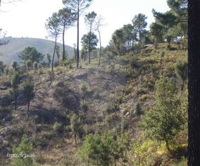 Terreno  para venda - Grande imagem: 5/7