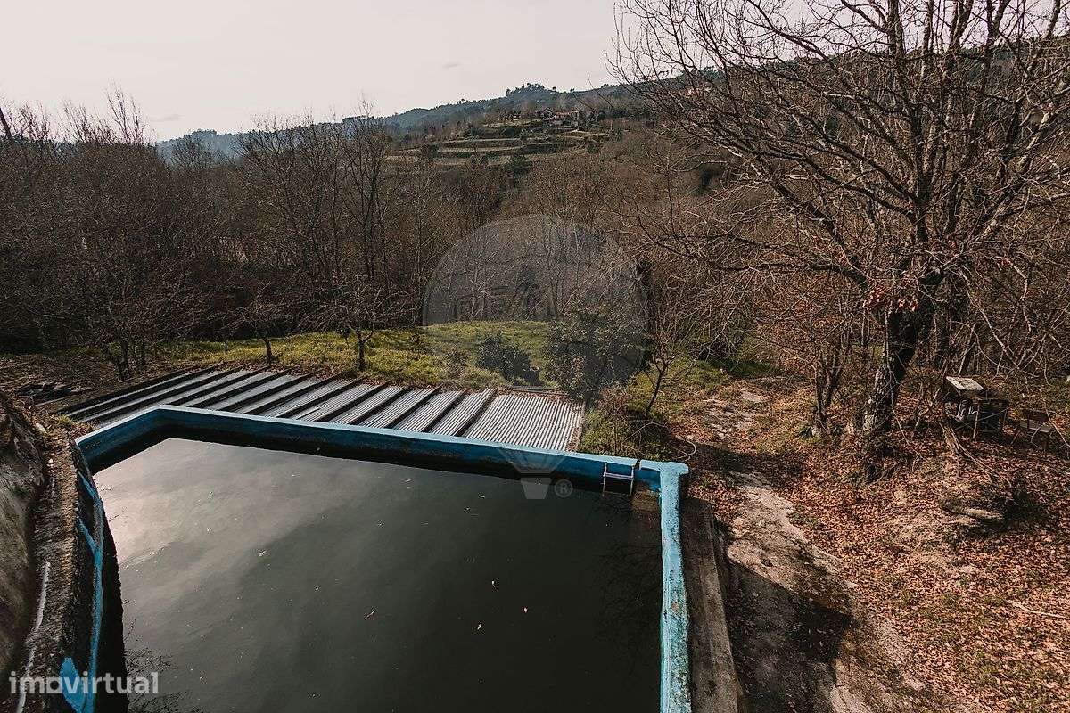 Quinta  para venda - Grande imagem: 5/14