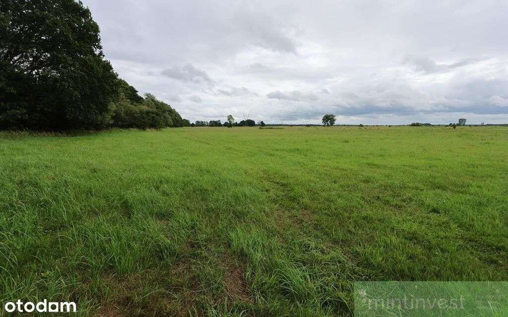Działka rolna w Żarnowie 3,31 ha, gmina Stepnica-0