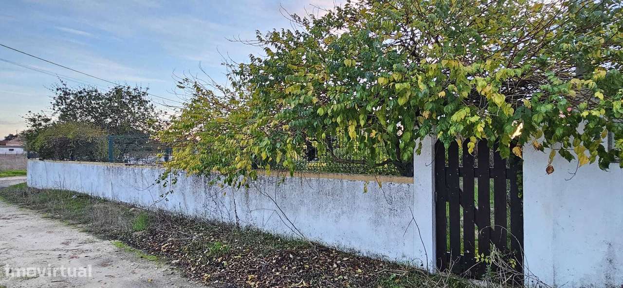 Moradia Térrea / Quintinha em Foros de Salvaterra-55