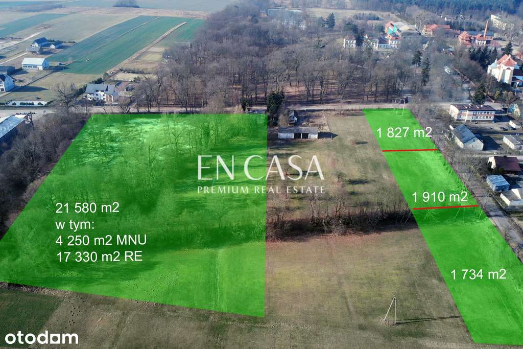 27 tys m2 pięknej działki ze stawem - Pełny obrazek: 4/4