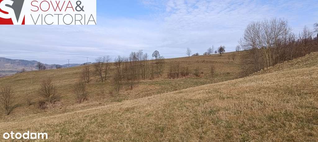 Słoneczna, widokowa działka budowlana w Głuszycy - Pełny obrazek: 3/6