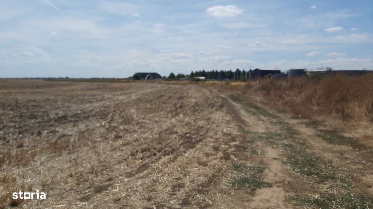 Teren 280000mp Balotesti acces din DN1 , Soseaua Unirii si A0 - Imagine principală: 2/3
