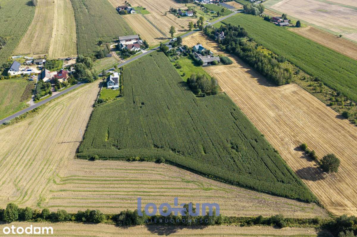 Duże działki z WZ – Małczew, gmina Brzeziny - Pełny obrazek: 5/11