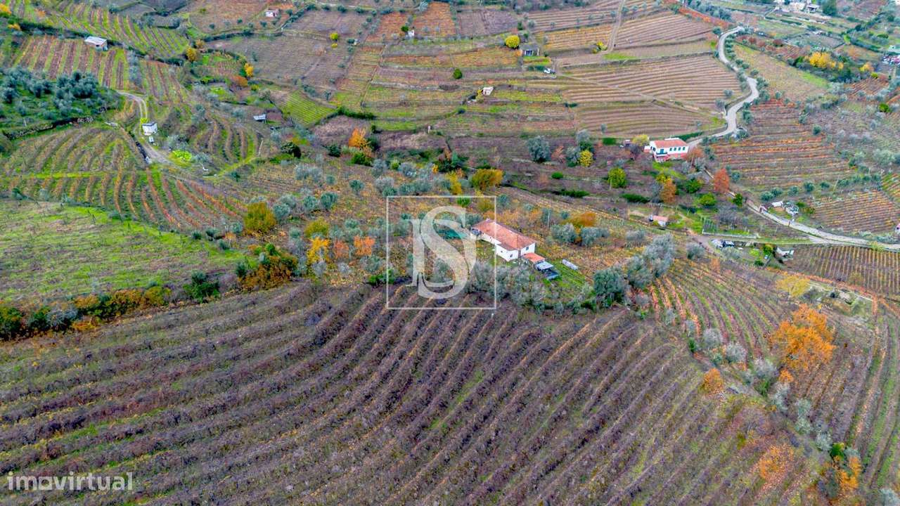 Terreno  Venda em Cambres,Lamego - Grande imagem: 5/15