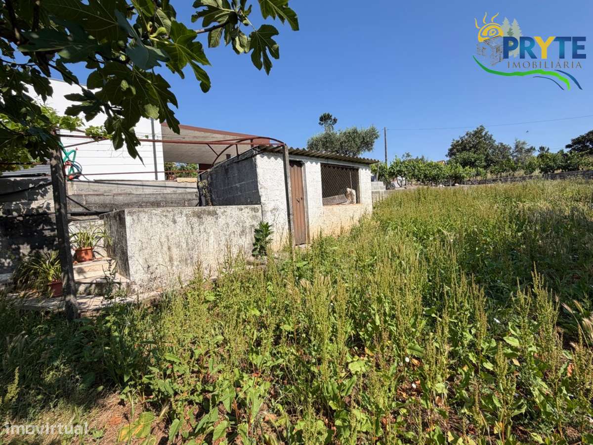Moradia T3 situada a 3 quilómetros da Sertã-43