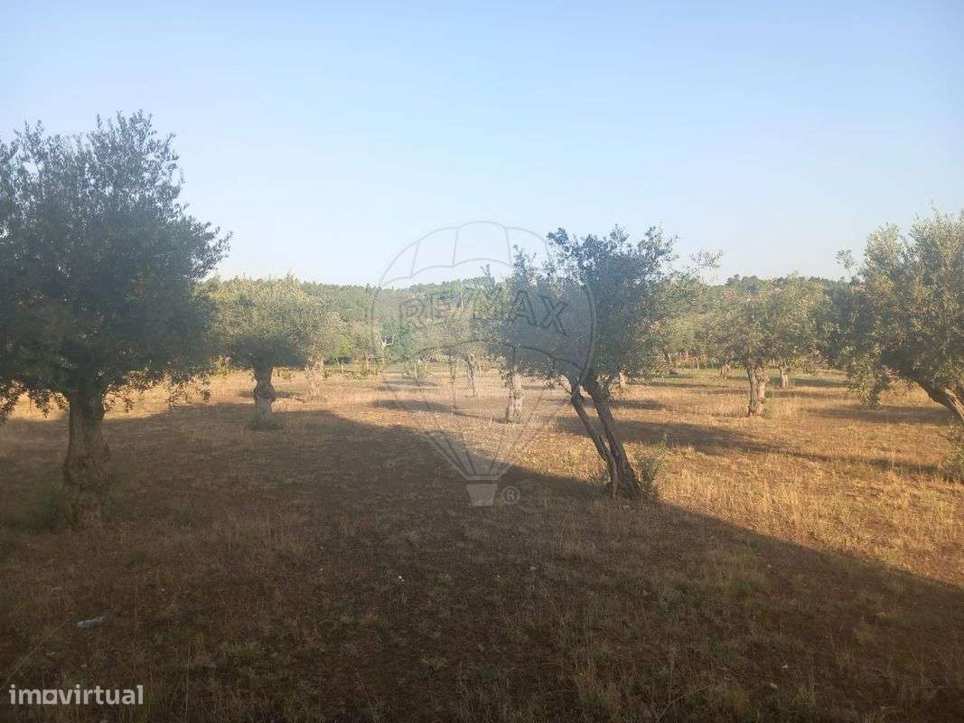 Terreno  para venda - Grande imagem: 1/5