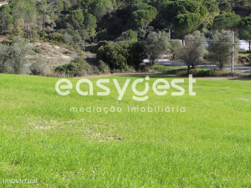 Terreno Rústico com 7520m2 em Valongo - Grande imagem: 4/9