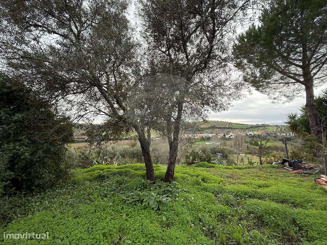 Terreno  para venda - Grande imagem: 3/9