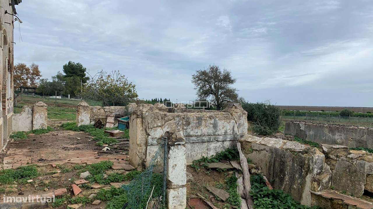 PEDRAS DEL REI - TAVIRA - ALGARVE-13