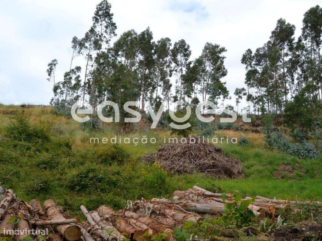 Terreno c/ projeto 8 moradias V3 triplex - Grande imagem: 5/7