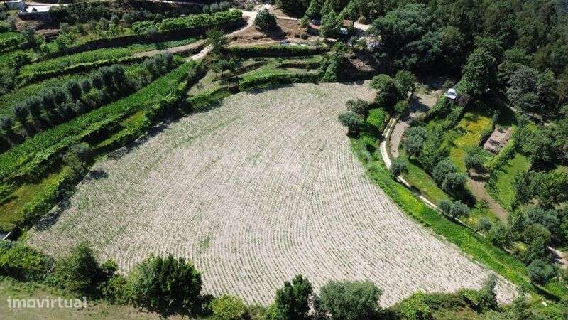 Quintinha / Marco de Canaveses, Penhalonga e Paços de Gaiolo - Grande imagem: 5/10