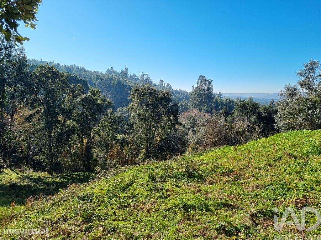 Terreno para construção em Poiares - Grande imagem: 5/40