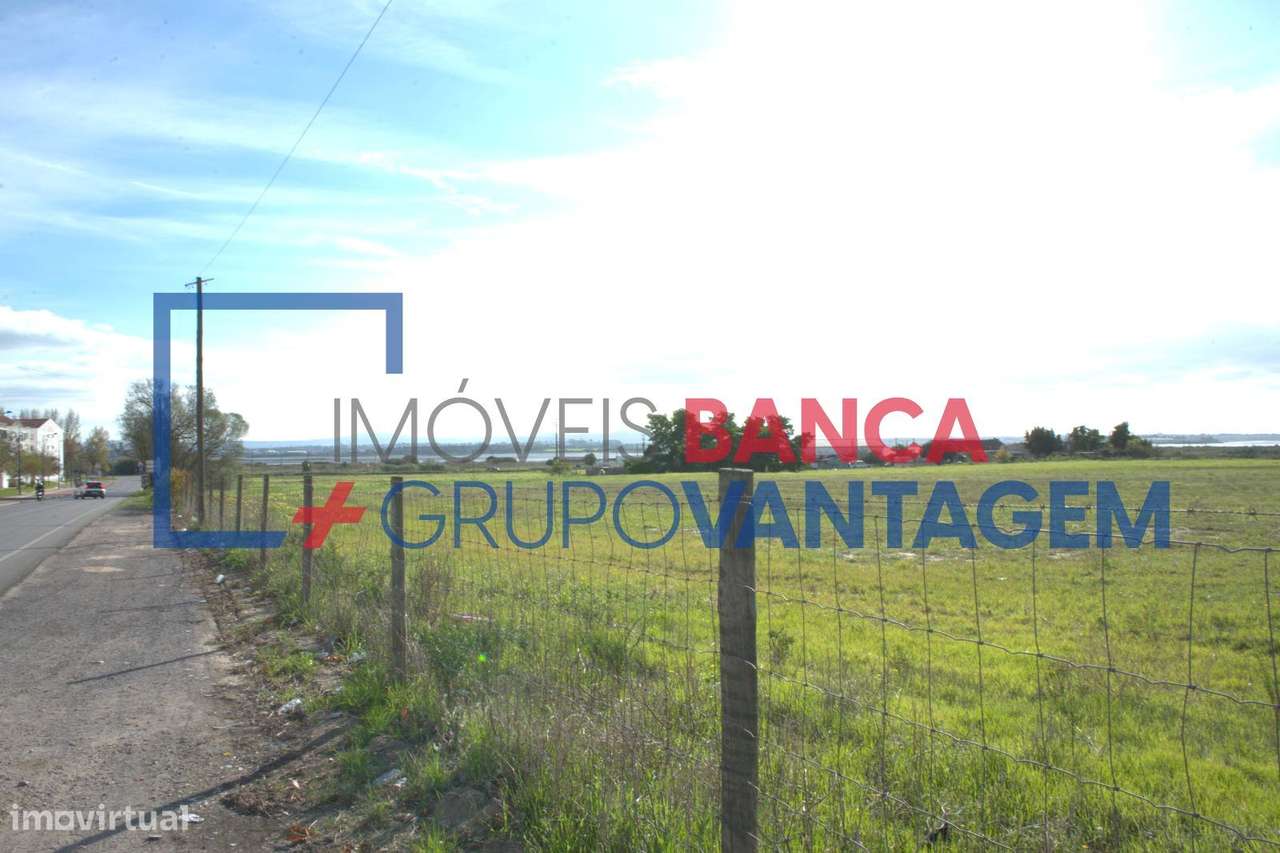 T3 -MORADIA MONTIJO - Grande imagem: 5/7