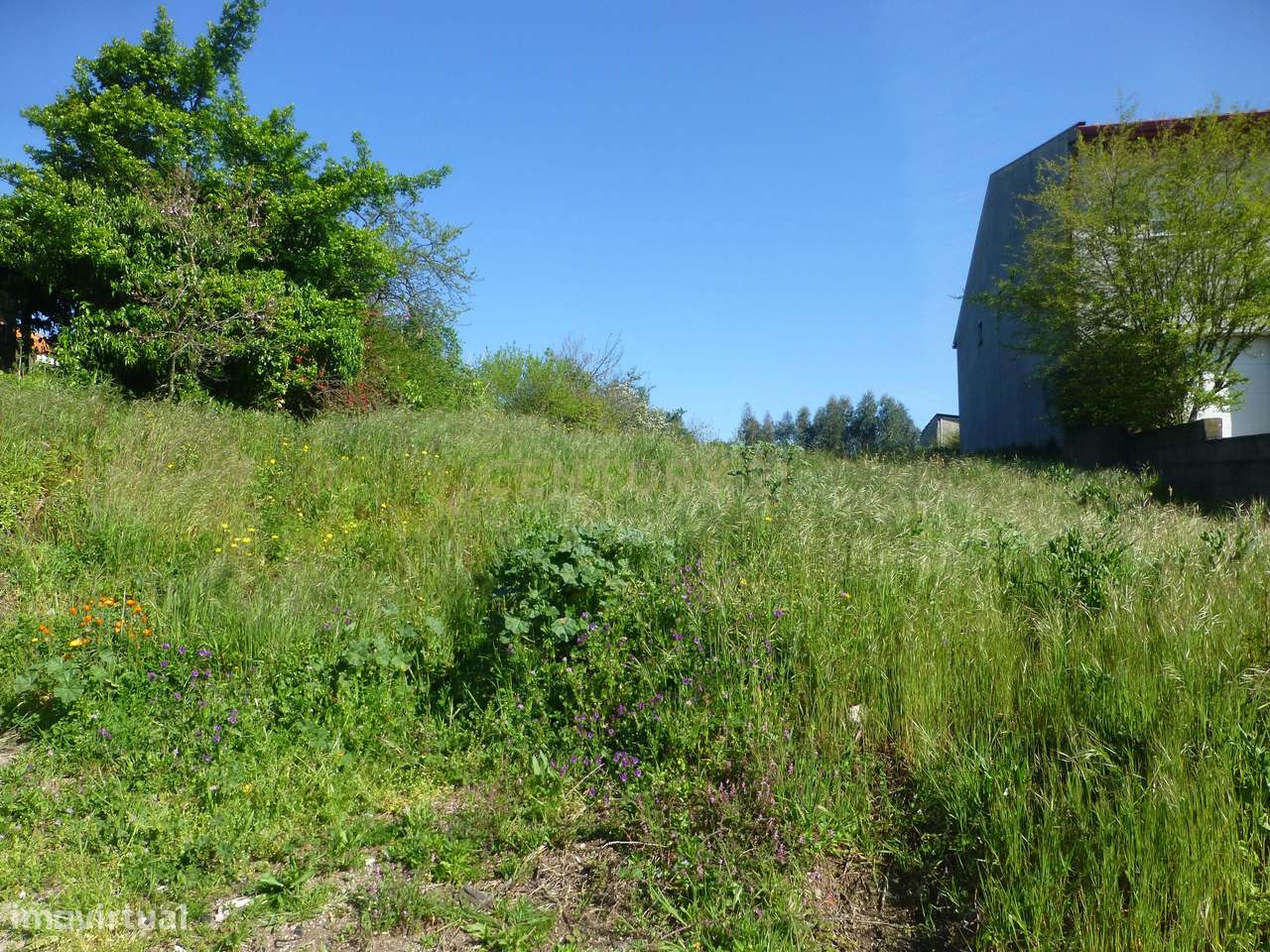 Terreno para construção com 900 m2 no Alto da Bandeira- Aves - Grande imagem: 5/10
