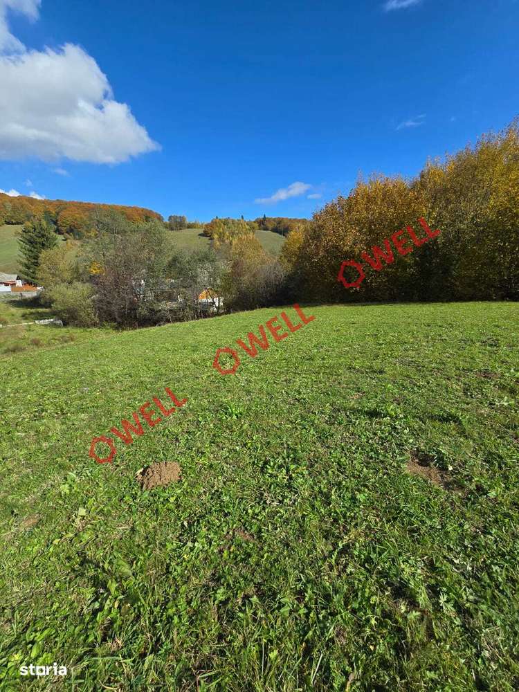 Teren extravilan de vânzare în Întorsura Buzăului, sat Brădet! - Imagine principală: 4/11