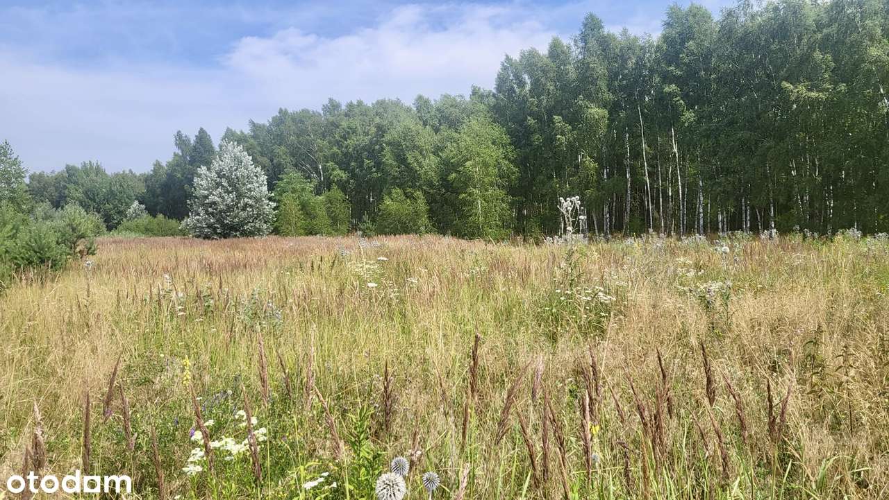 Działki budowlane Imielno gm. Łubowo-9