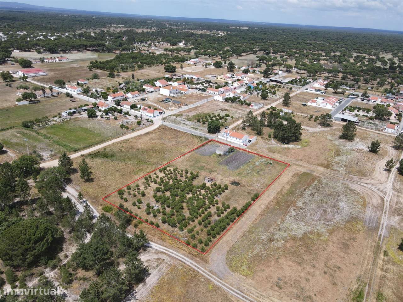 Terreno misto no Alentejo - Grande imagem: 3/20