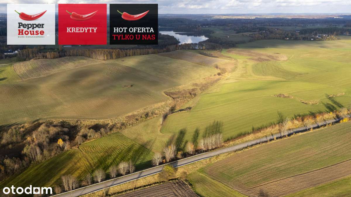 Niedamowo działka 4900 m2  200 m od jeziora - Pełny obrazek: 4/7