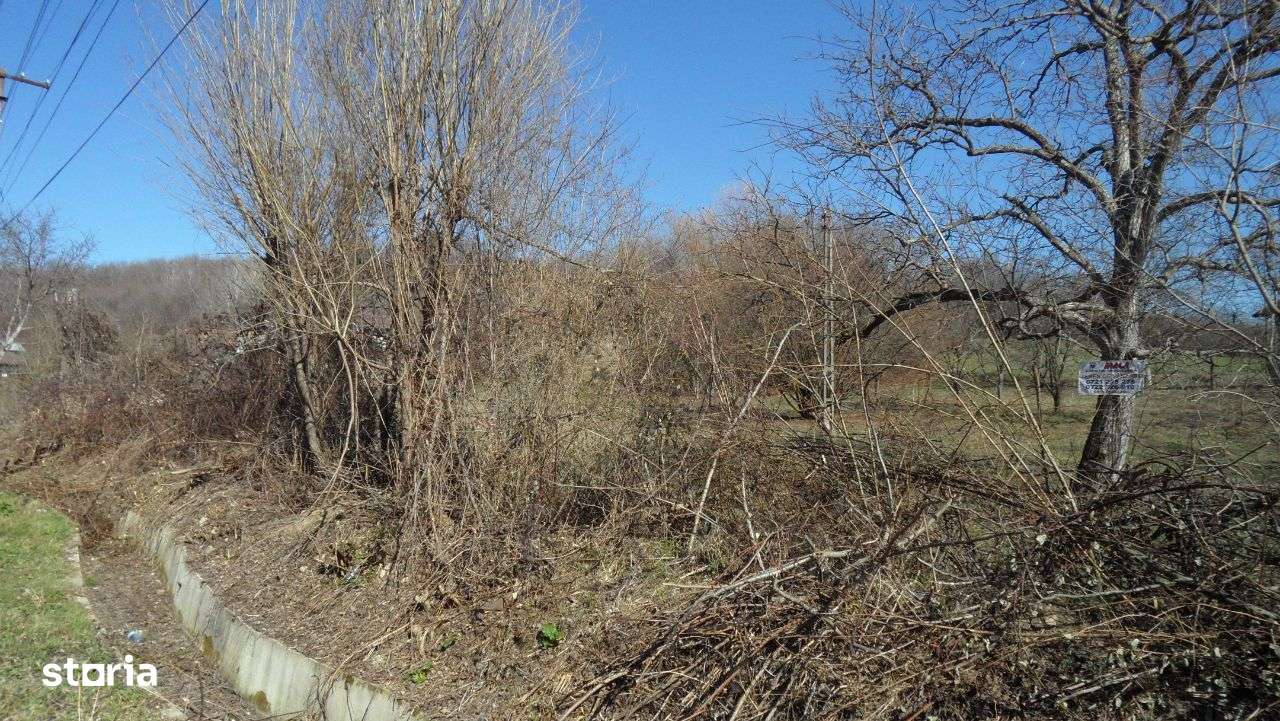 Teren in Gura Vaii - Imagine principală: 3/10