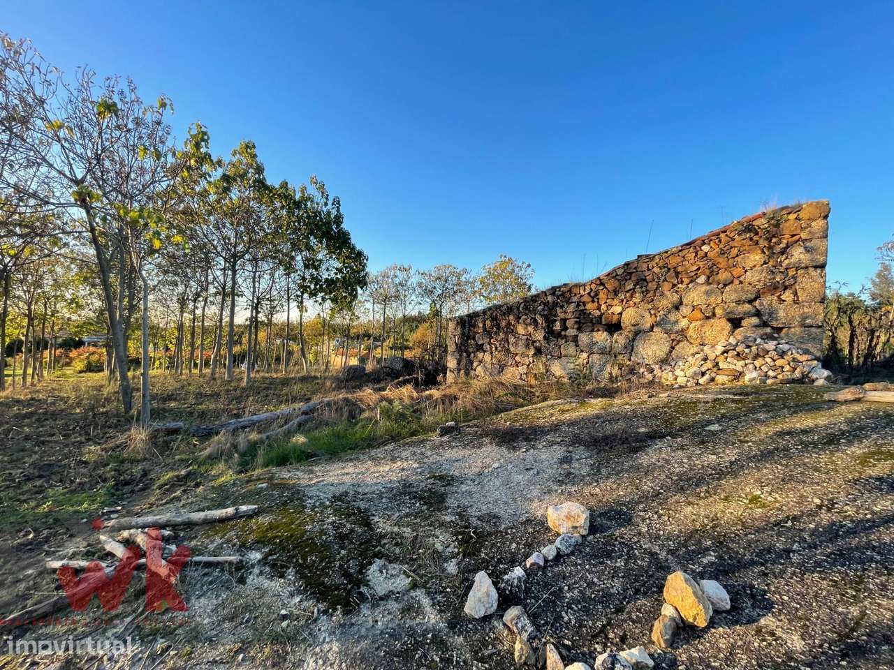 Terreno Rústico 10.800 m2 – Plano, Com Ruína e Excelentes Acessos - Grande imagem: 4/12