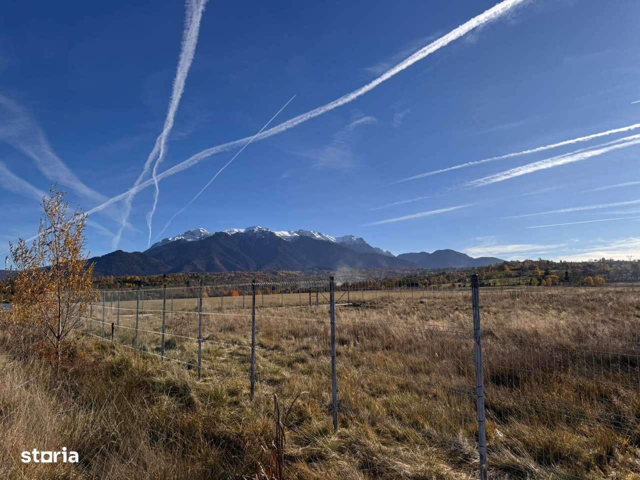 Comision 0% - Parcele Teren Tohan (3 loturi de 850 mp, 1 de 1000 mp)-3