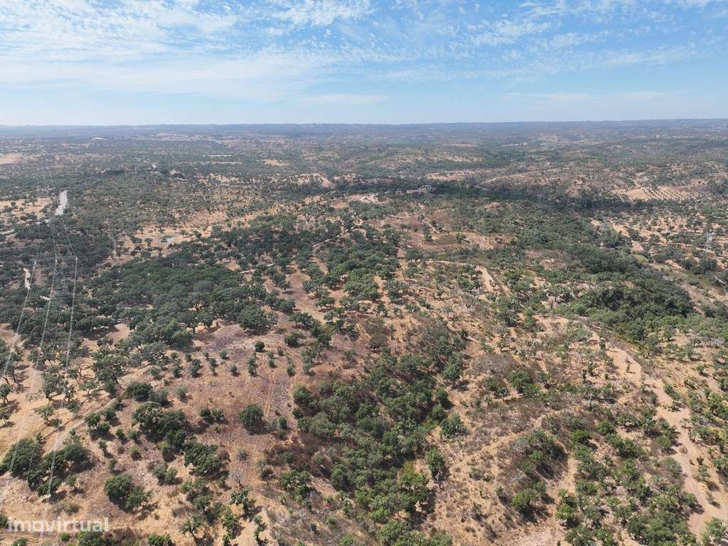 HERDADE COM 100 HECTARES E BASTANTE ARBORIZAÇÃO-57