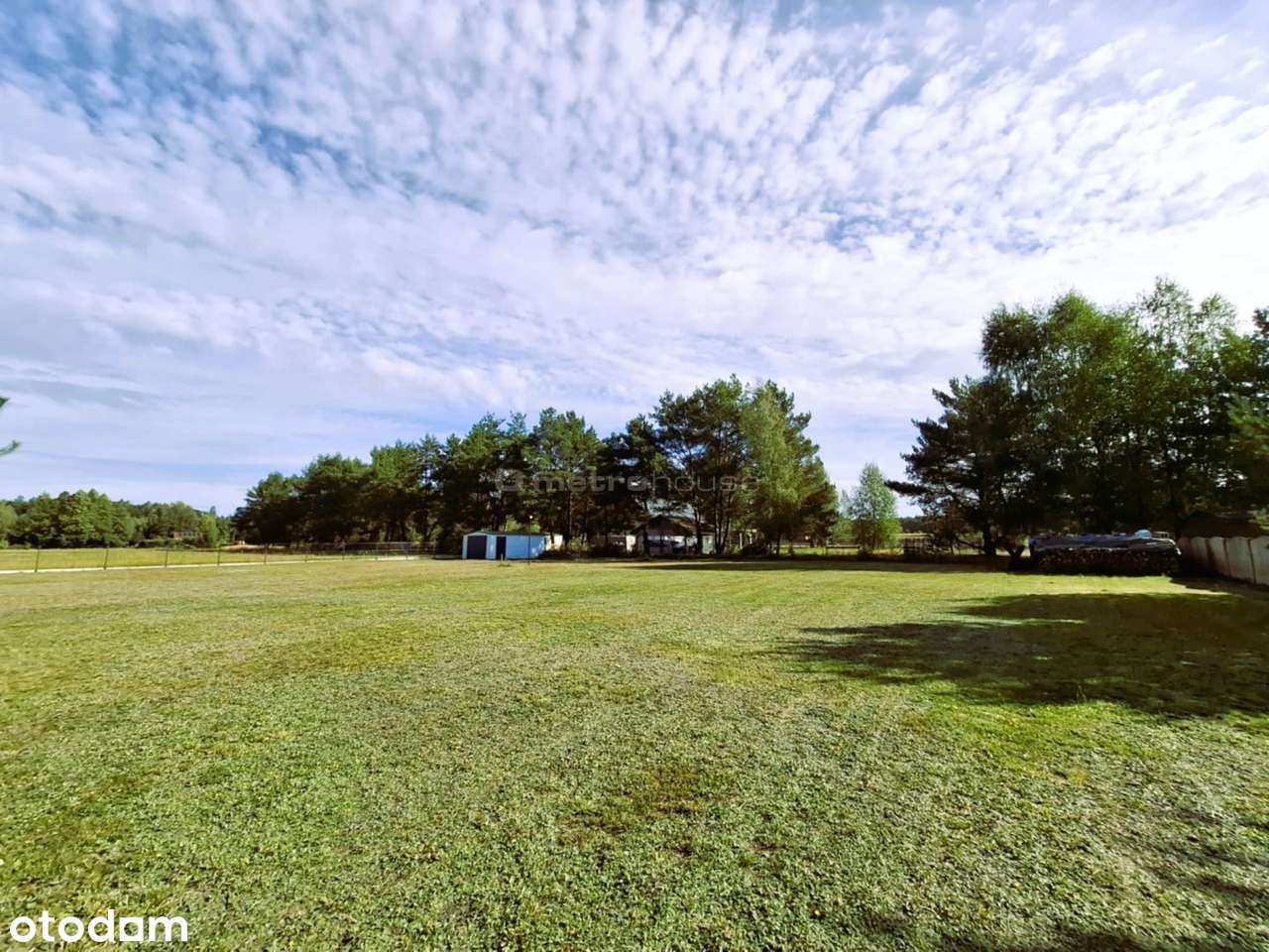 Działka pośród lasów Białe Błoto / Dobroszyce - Pełny obrazek: 5/15