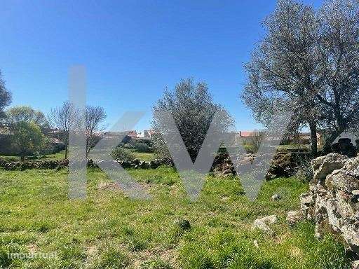 Quinta rural com 3 hectares completa com equipamentos e tractor - Grande imagem: 4/28