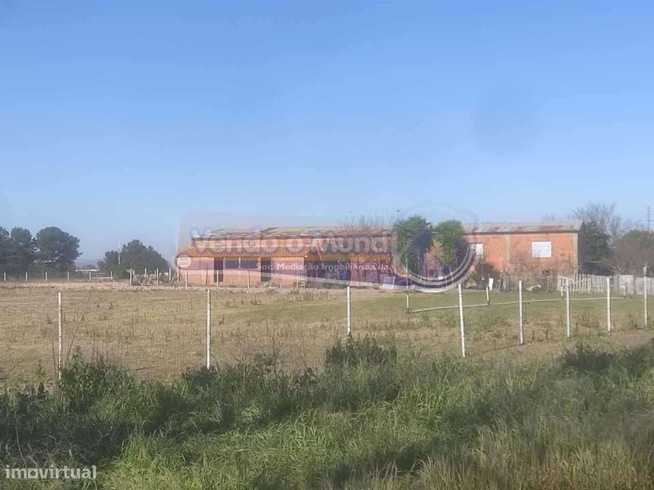 Terreno em Salvaterra de Magos (S563) - Grande imagem: 4/6