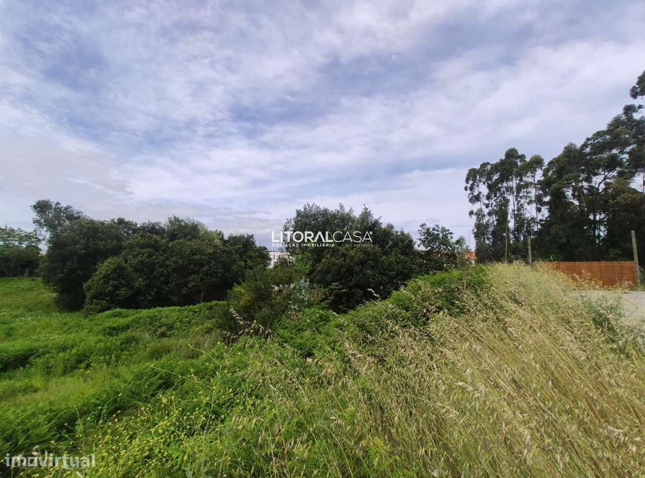 Terreno a 15 min de Aveiro - Grande imagem: 4/4