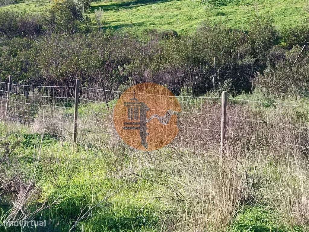 TERRENO COM 12.180 M2 - COM LICENÇA PARA FURO - PEDRA ARRANCADA - A... - Grande imagem: 5/24