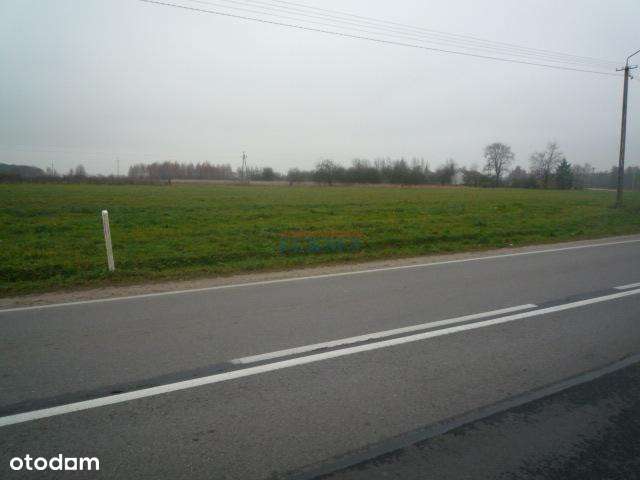 Działka, 10000.0 m², Prażmów-5