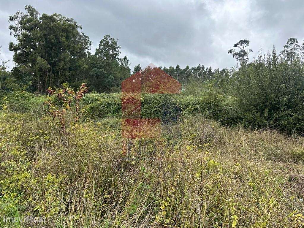 Terreno com PIP, Rio Mau - Grande imagem: 5/15