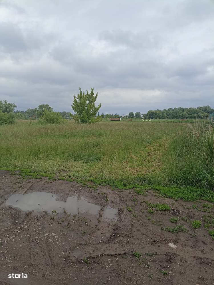 De vânzare teren intravilan construibil în Sfântu Gheorghe-3