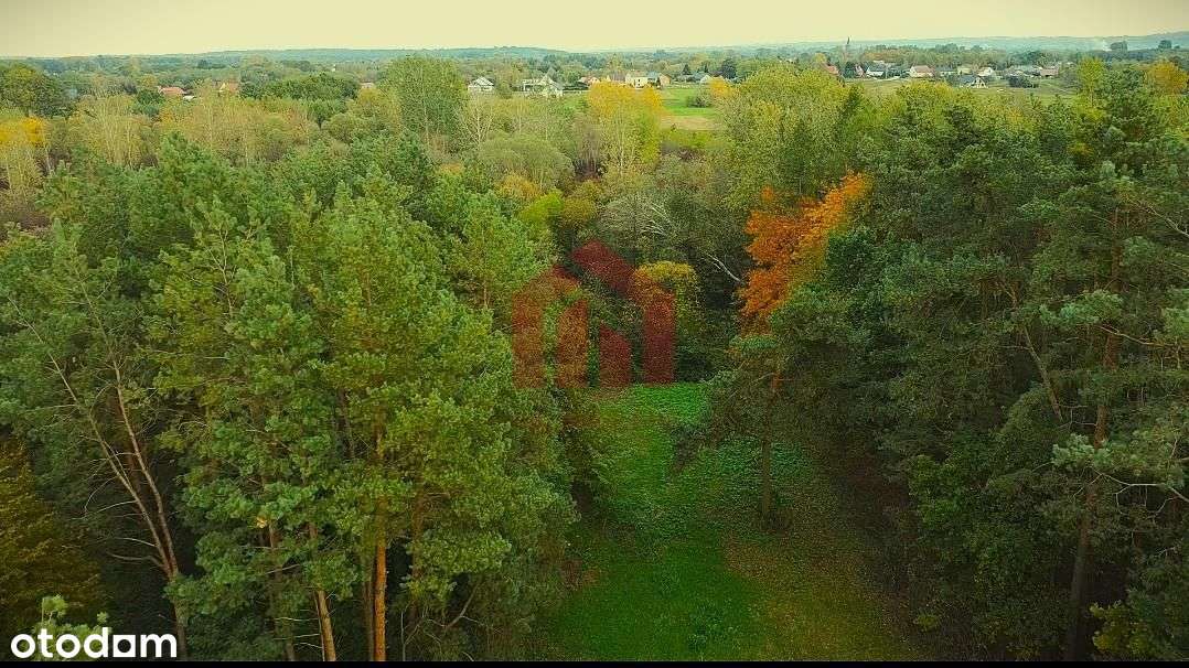 Działka budowlana Bobrowa, gm. Żyraków, pow. dębic - Pełny obrazek: 4/8