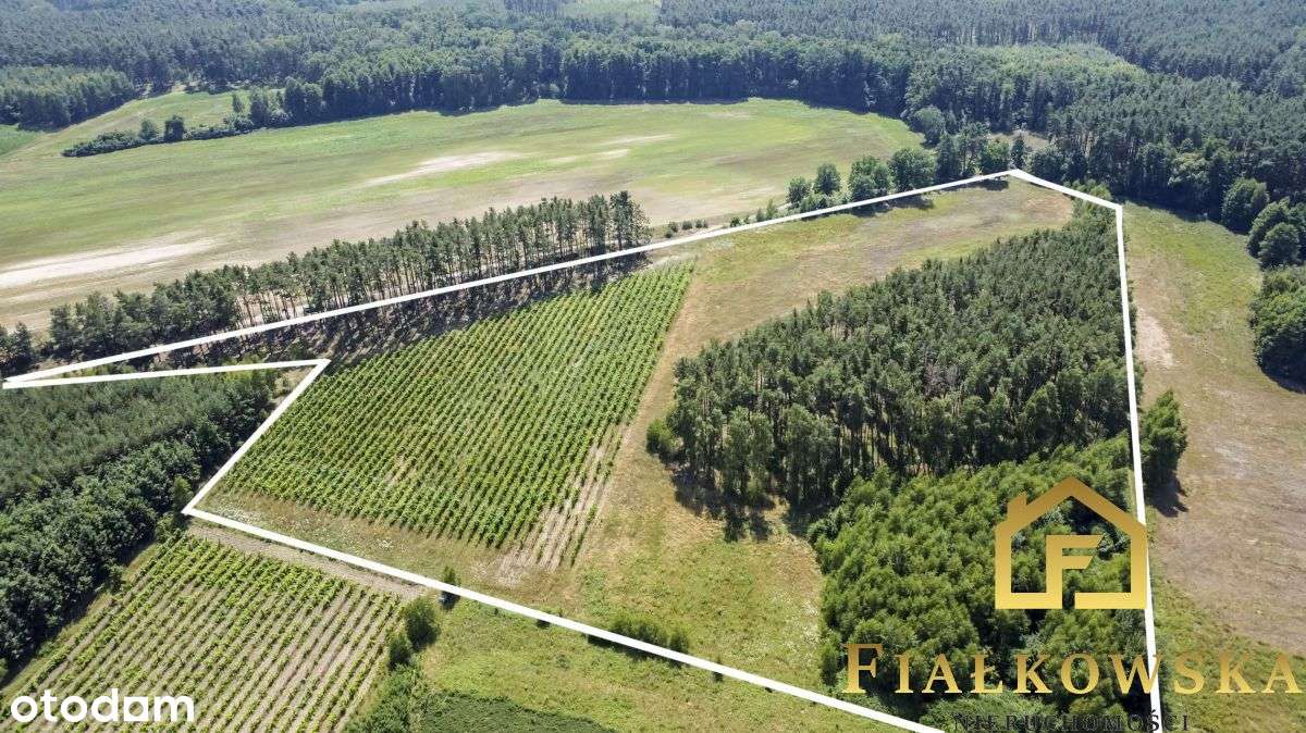 Działka rolna z istniejącą winnicą - Łaz-0