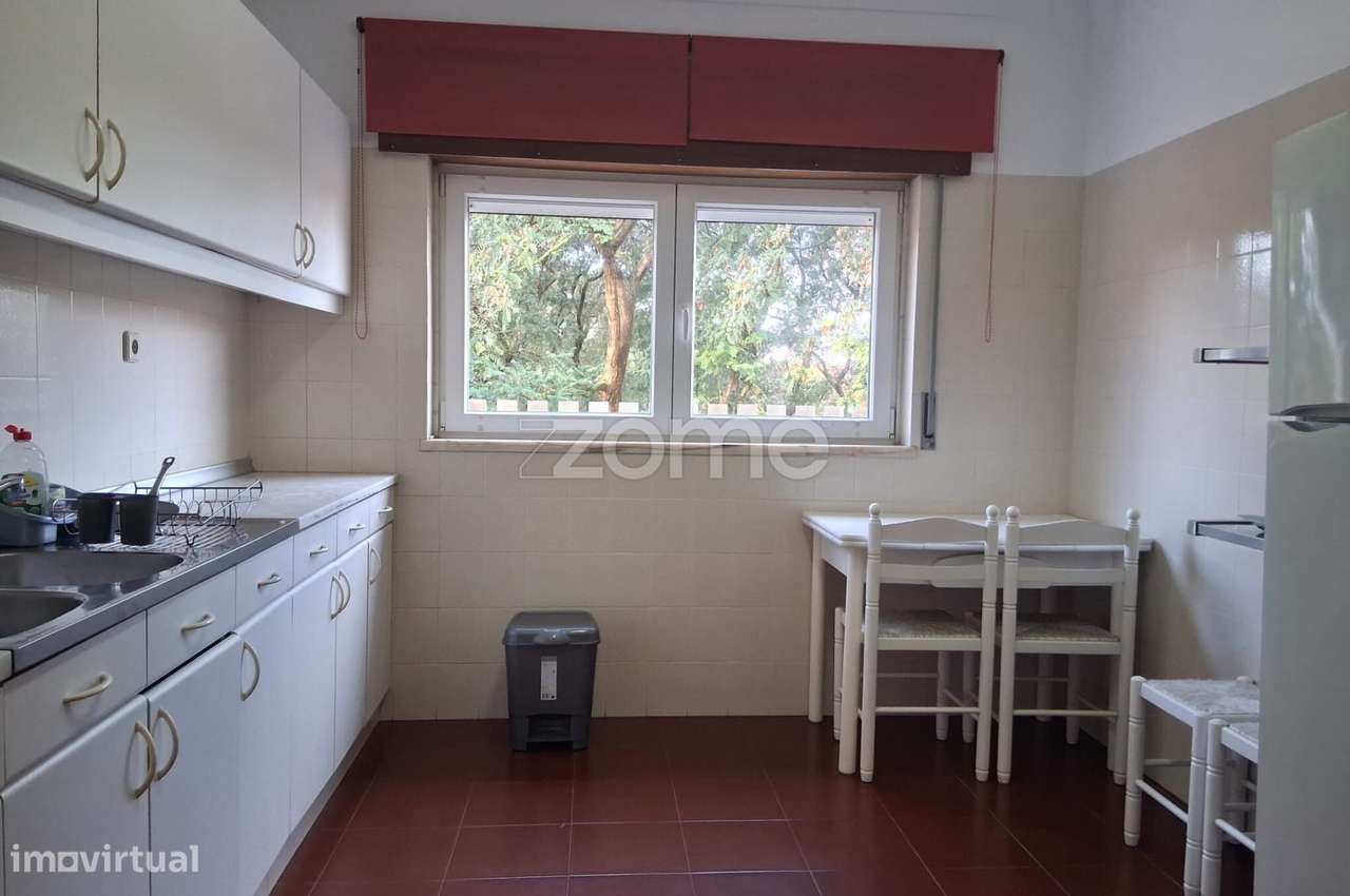 T1 Abóboda Arrendamento - Grande imagem: 5/15