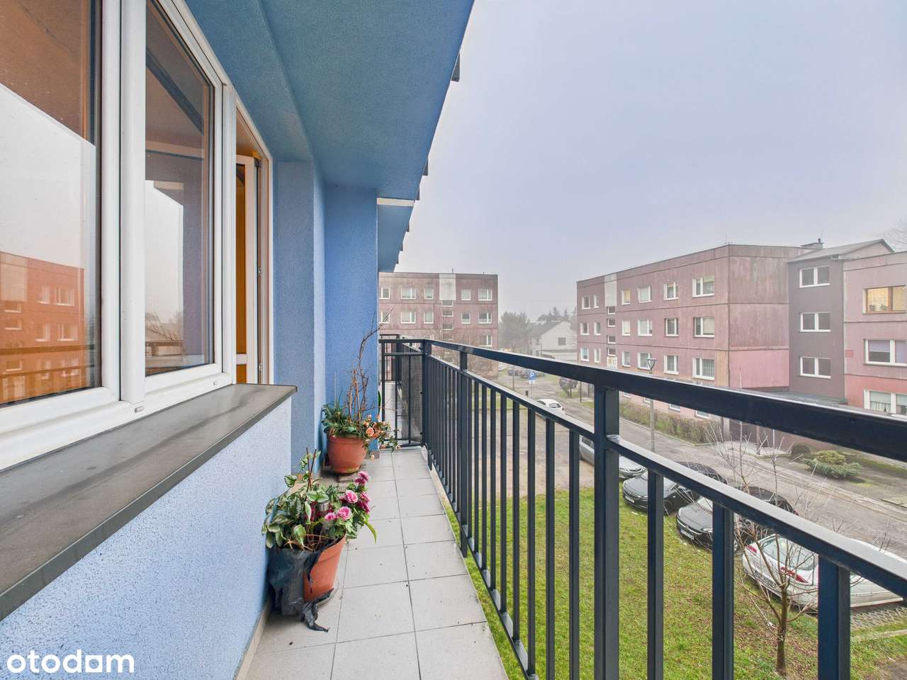 Sosnowiec Naftowa 2 Pokoje 50m + Balkon 2 Piętro z 8 Winda Od 1 Piętra-2