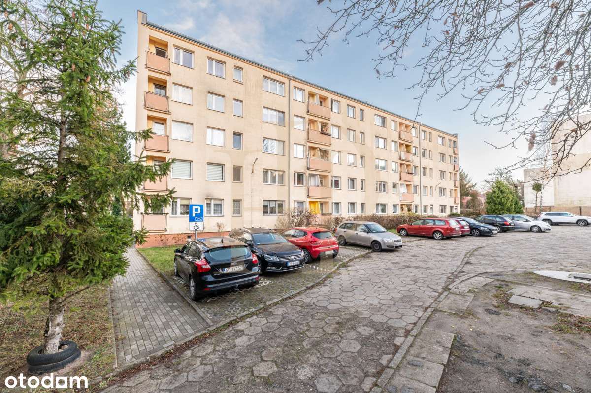 Oliwa | 2 niezależne pokoje | Świetna lokalizacja-11