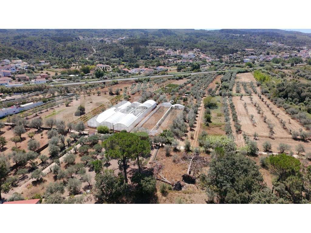 Terreno Agrícola com Estufas Preparadas para Produção em Hidroponia...-18