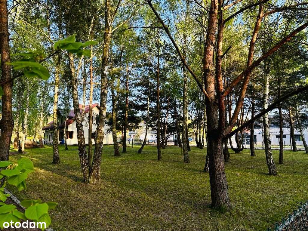 Dom na sprzedaż, 6 pokoi, 223 m², Leszno