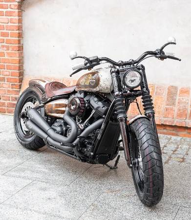 Harley-Davidson Softail - 11