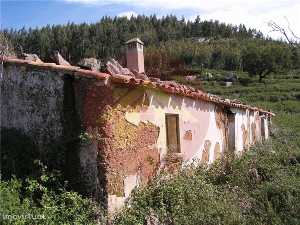 Quinta para Venda em Monchique na Arinha