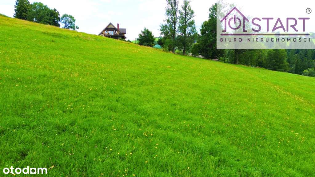 Działka w Czerwiennem bez drogi dojazdowej - Pełny obrazek: 5/5