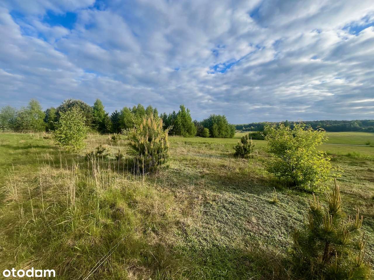 Działka budowlana - Czostków-3