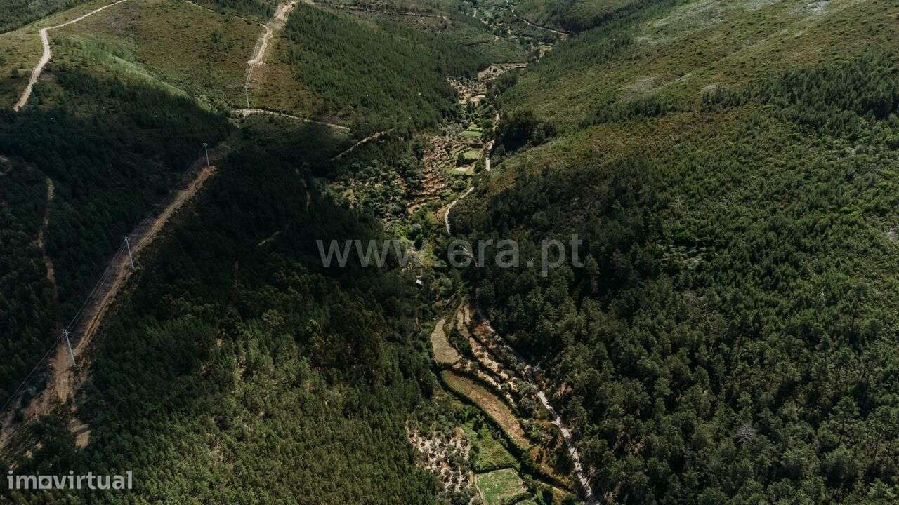 Terreno Rústico / Fundão, Bogas de Cima - Grande imagem: 4/14