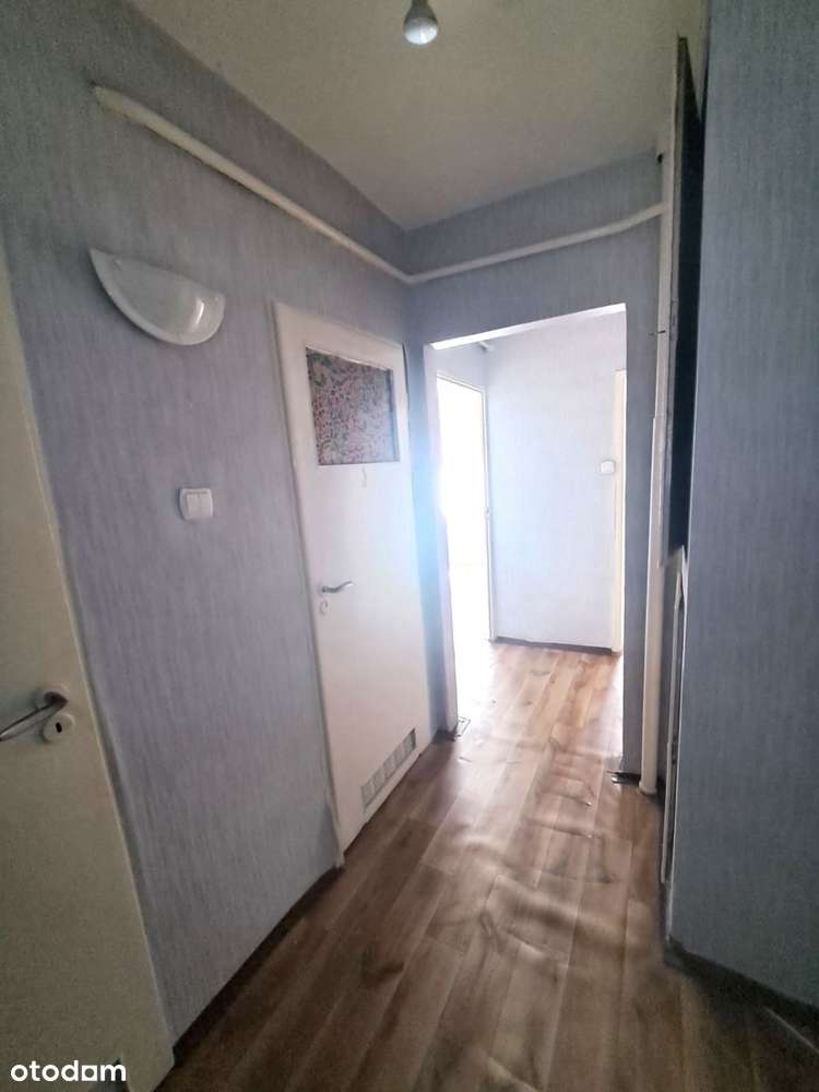 ciche, zielone osiedle blisko centrum-12